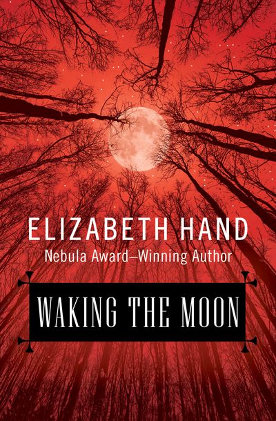 Buy Waking the Moon at Amazon